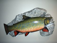 brooktrout mount