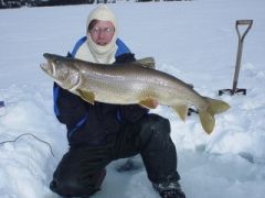 Lake Trout from 2005