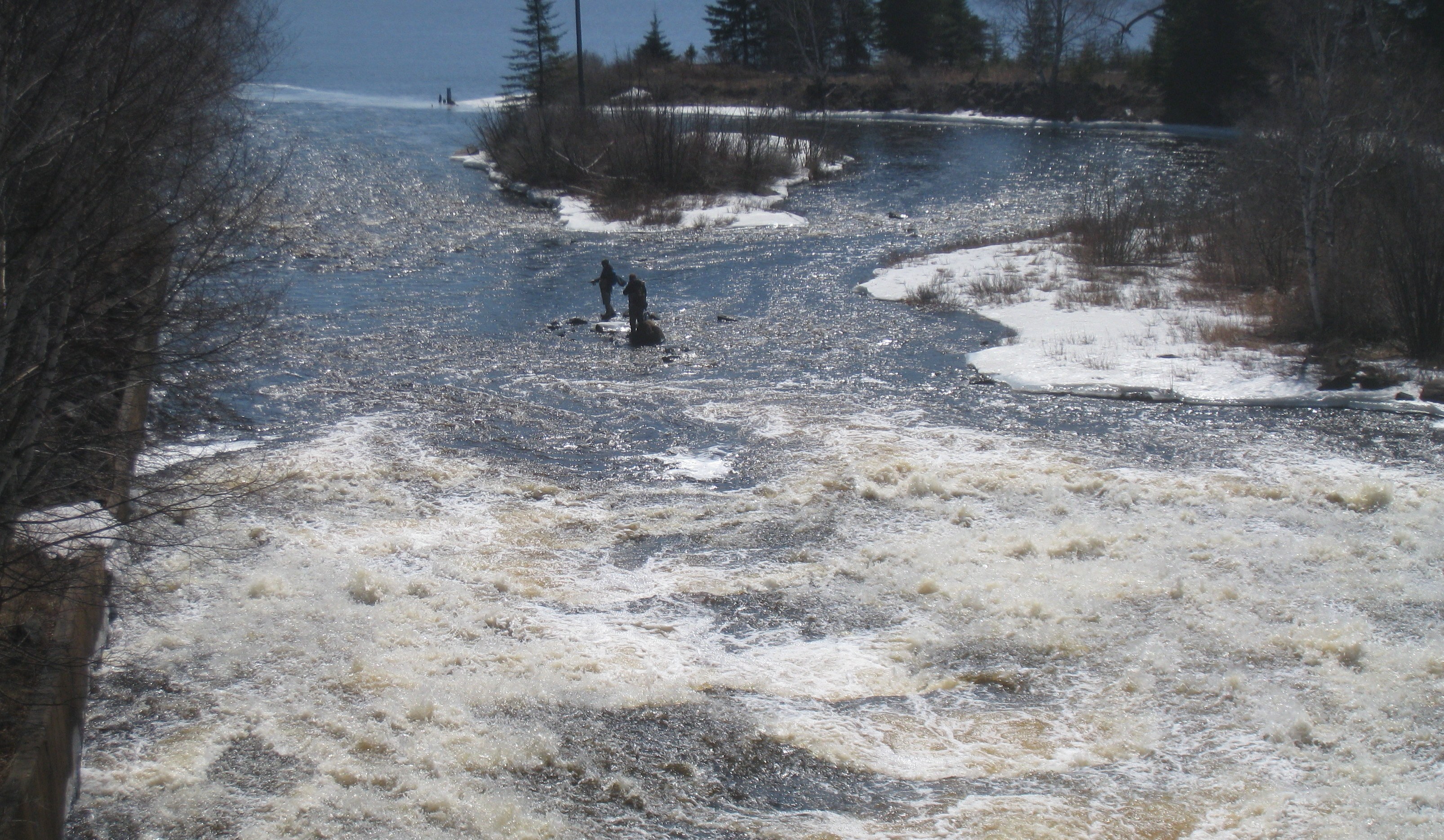 definition-of-a-leap-fishing-at-weirs-general-fishing-thunder-bay